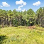 Property photo for land for sale in Oktibbeha County Mississippi