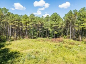 Property photo for land for sale in Oktibbeha County Mississippi