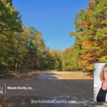 Property photo for land for sale in Cleburne County Arkansas