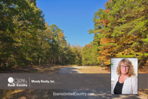 Property photo for land for sale in Cleburne County Arkansas