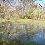 Property photo for land for sale in Columbia County Wisconsin