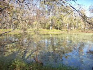 Property photo for land for sale in Columbia County Wisconsin