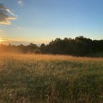 Property photo for land for sale in Floyd County Virginia