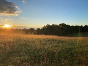 Property photo for land for sale in Floyd County Virginia