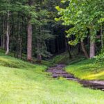 Property photo for land for sale in Maury County Tennessee