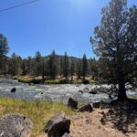 Property photo for land for sale in Modoc County California