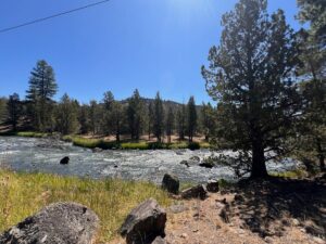 Property photo for land for sale in Modoc County California