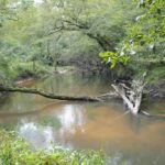 Property photo for land for sale in Walthall County Mississippi