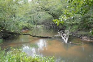 Property photo for land for sale in Walthall County Mississippi