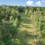 Property photo for land for sale in Catahoula County Louisiana