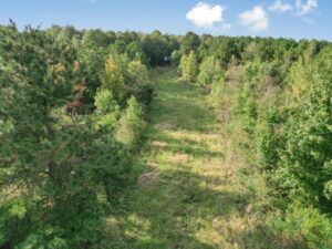 Property photo for land for sale in Catahoula County Louisiana