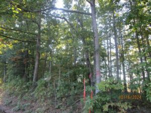 Property photo for land for sale in Lunenburg County Virginia