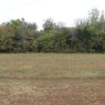 Property photo for land for sale in Izard County Arkansas