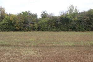 Property photo for land for sale in Izard County Arkansas