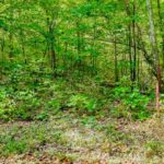 Property photo for land for sale in Pickett County Tennessee