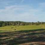 Property photo for land for sale in Lincoln County Louisiana