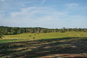 Property photo for land for sale in Lincoln County Louisiana