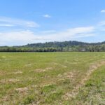 Property photo for land for sale in Lewis County Tennessee