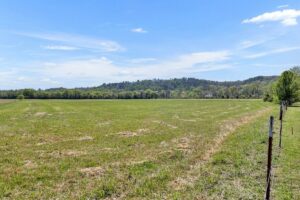 Property photo for land for sale in Lewis County Tennessee