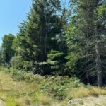 Property photo for land for sale in Washington County Maine