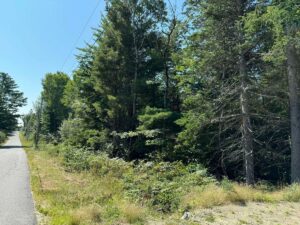 Property photo for land for sale in Washington County Maine