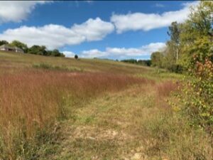 Property photo for land for sale in Putnam County Tennessee