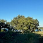 Property photo for land for sale in Brown County Texas