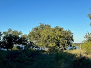 Property photo for land for sale in Brown County Texas