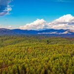 Property photo for land for sale in Caldwell County North Carolina