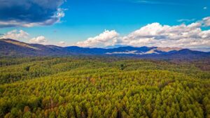 Property photo for land for sale in Caldwell County North Carolina