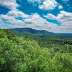 Property photo for land for sale in Burke County North Carolina