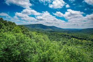 Property photo for land for sale in Burke County North Carolina