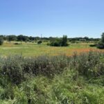 Property photo for land for sale in Brown County Texas