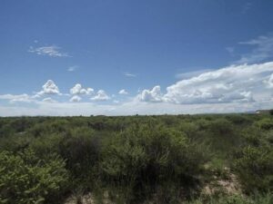 Property photo for land for sale in Torrance County New Mexico