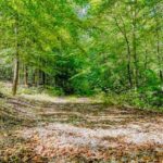 Property photo for land for sale in Pickett County Tennessee