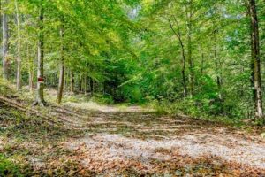 Property photo for land for sale in Pickett County Tennessee