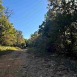 Property photo for land for sale in Fulton County Arkansas