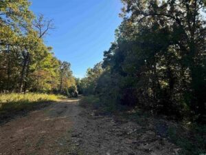 Property photo for land for sale in Fulton County Arkansas