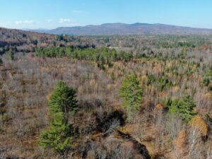 Property photo for land for sale in Franklin County Maine