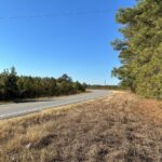 Property photo for land for sale in Drew County Arkansas