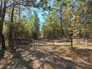 Property photo for land for sale in Scott County Arkansas