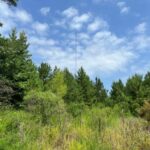 Property photo for land for sale in Union County Arkansas