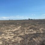 Property photo for land for sale in Torrance County New Mexico