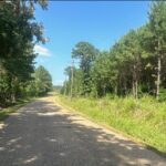 Property photo for land for sale in Columbia County Arkansas