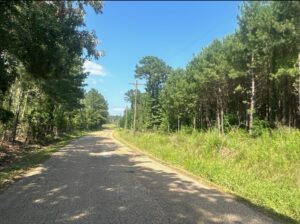 Property photo for land for sale in Columbia County Arkansas