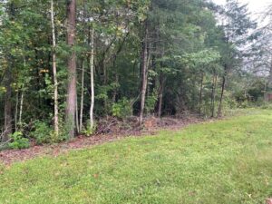 Property photo for land for sale in Clinton County Kentucky