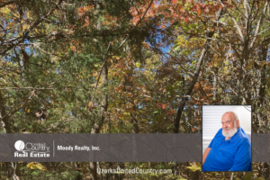 Property photo for land for sale in Fulton County Arkansas