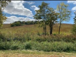 Property photo for land for sale in Putnam County Tennessee