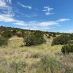 Property photo for land for sale in Torrance County New Mexico