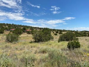 Property photo for land for sale in Torrance County New Mexico